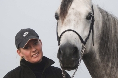 horse0004