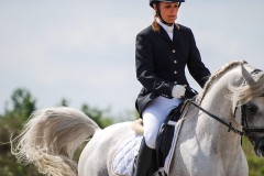 horse0037