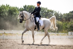 horse0038