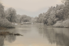 Nature0011