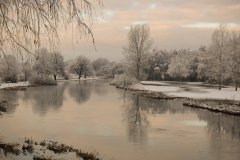 Nature0012