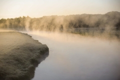 Nature0016