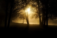 Nature0017