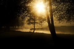 Nature0020
