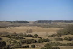 Nature0023