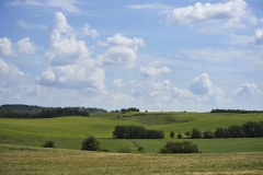 Nature0025