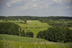 Nature0026