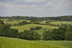 Nature0027