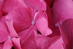 nature0032