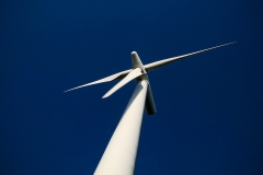 nature0034