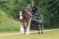 Arrangementsfotografering