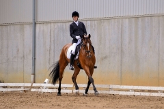 Dressur til Jysk Rideuge 2008