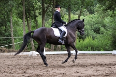 jyridr_2194
