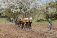 fostra2009_5027