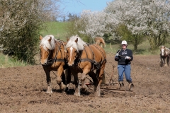 fostra2009_5032