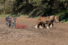 fostra2009_5033