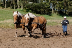 fostra2009_5034
