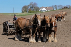 fostra2009_5061