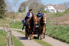 fostra2009_5133