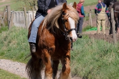 fostra2009_5160
