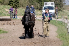 fostra2009_5167