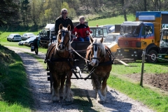 fostra2009_5174