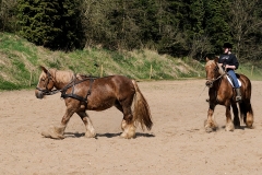 fostra2009_5284