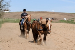 fostra2009_5292