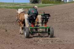 fostra2009_5382