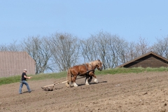 fostra2009_5408