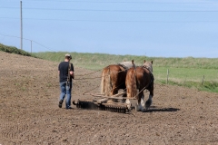 fostra2009_5420