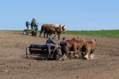 fostra2009_5422