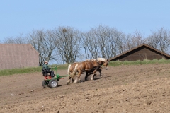 fostra2009_5431