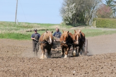 fostra2009_5447