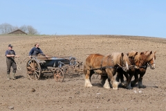 fostra2009_5451