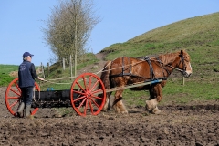 fostra2009_5476