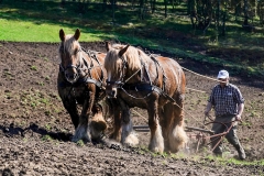 fostra2009_5555