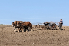 fostra2009_5575