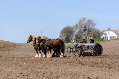 fostra2009_5577