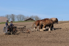 fostra2009_5581