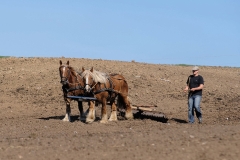 fostra2009_5591