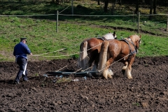 fostra2009_5607