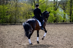 hdv2008_4992