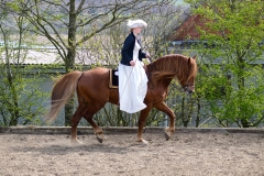 hdv2008_4997