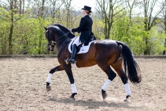 hdv2008_5010