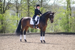hdv2008_5011