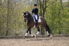 hdv2008_5014