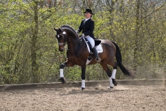 hdv2008_5016