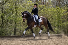 hdv2008_5017