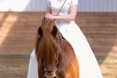 hdv2008_5127